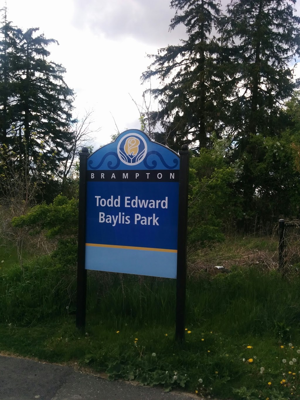 Todd Edward Baylis Park | 34 Townley Crescent, Brampton, ON L6Z 4S9, Canada