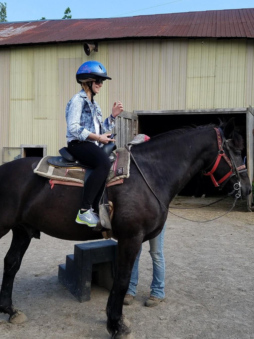 Niagara Riding Stables | 471 Warner Rd, Niagara-on-the-Lake, ON L0S 1J0, Canada | Phone: (905) 262-5101