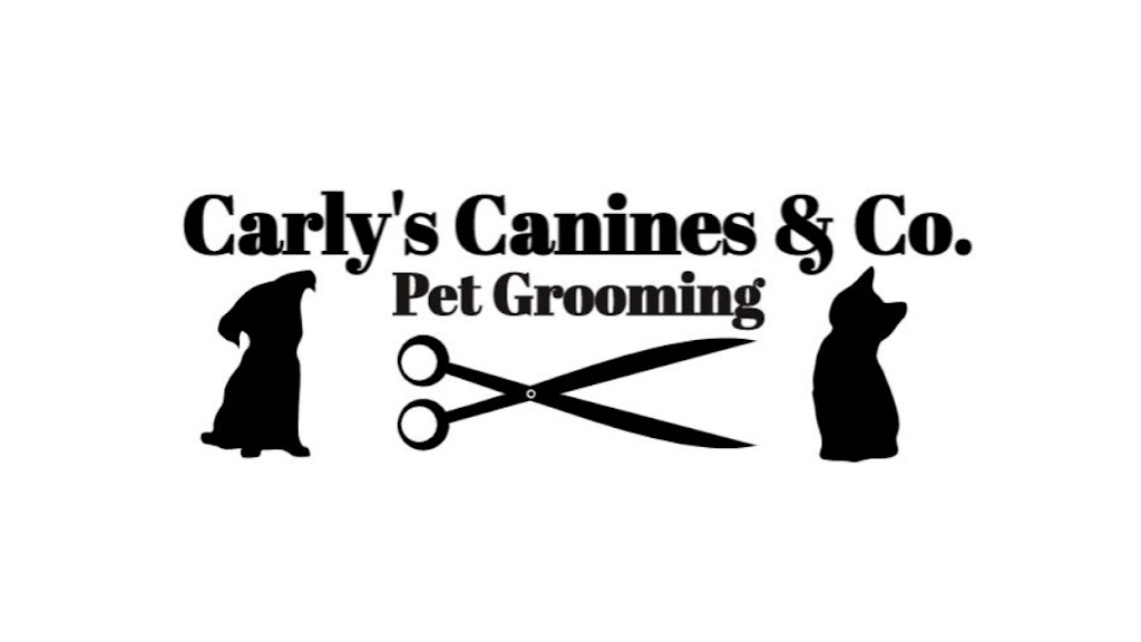 Carlys Canines & Co at Pet Valu Richview Square | 250 Wincott Dr, Etobicoke, ON M9R 2R5, Canada | Phone: (416) 247-8335