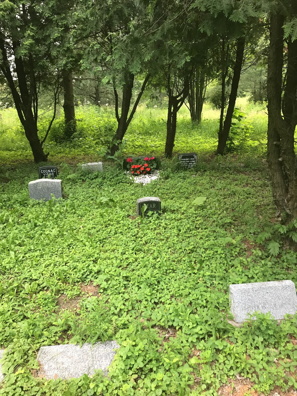 Reposium Pet Cemetery | 1261 Chemin Saint-Louis, Beauharnois, QC J6N 3B8, Canada | Phone: (514) 849-6591