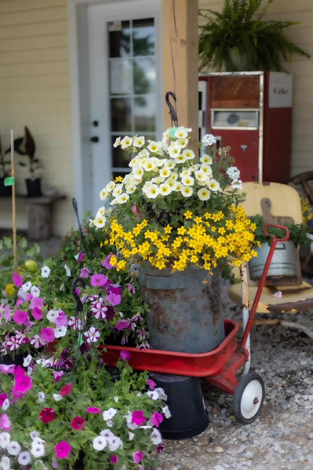 Country Roots Fresh Market | 1971 Perth Rd 163, St. Marys, ON N4X 1C4, Canada | Phone: (519) 801-9121