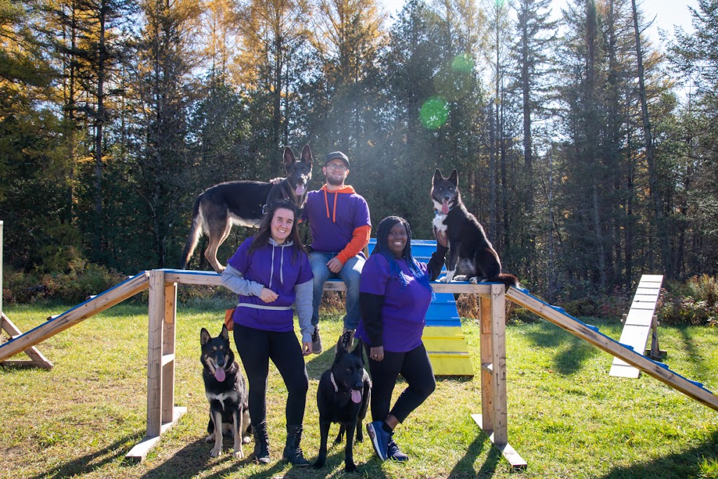 Palace pour chiens | 120, 33ème rue Lac des Français, Sainte-Marcelline-de-Kildare, QC J0K 2Y0, Canada | Phone: (450) 271-0534