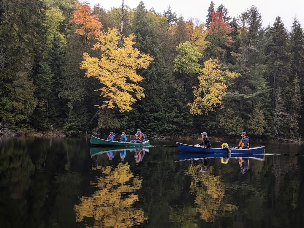 Lièvre Rouge - Refuge en forêt - Cabine - Log Cabins | 158 Chem. des 5 et 6 Rang, Lac-Saguay, QC J0W 1L0, Canada | Phone: (819) 921-0354