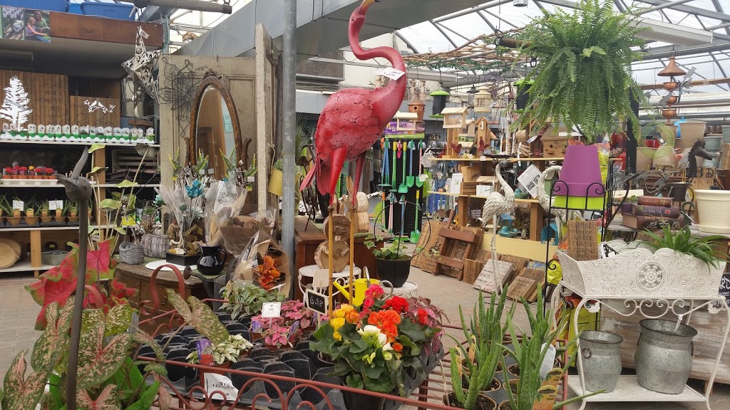 New Roots Garden Centre | 17235 Yonge St, Newmarket, ON L3Y 5L8, Canada | Phone: (905) 895-9727