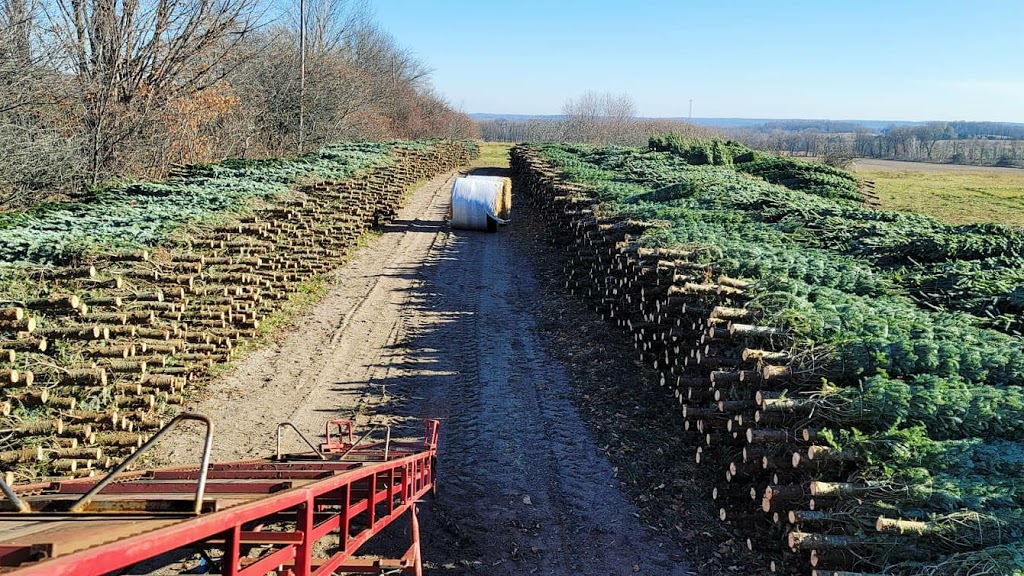 Georgian Bay Tree Farms | 6073 Line 4 N, Oro-Medonte, ON L4R 4K3, Canada | Phone: (647) 278-3225