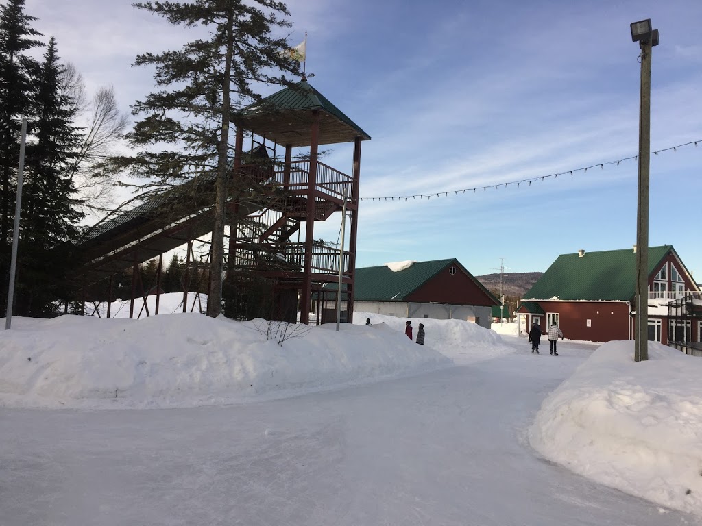 Patinoire de Shannon | 73 Chemin de Gosford, Shannon, QC G3S 0W4, Canada | Phone: (418) 844-3778