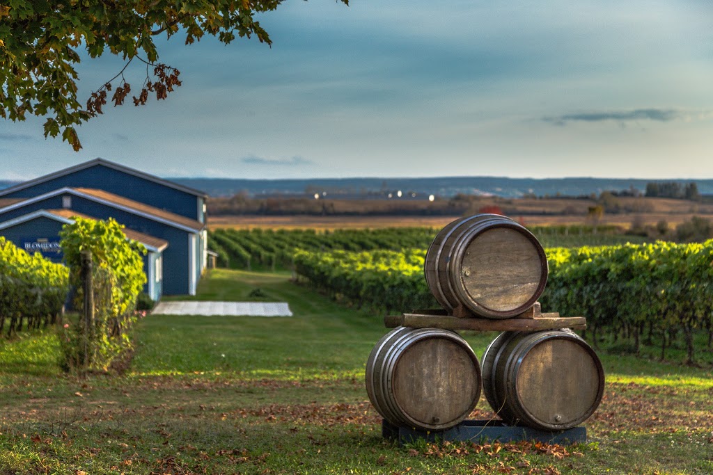 Blomidon Estate Winery | 10318 NS-221, Canning, NS B0P 1H0, Canada | Phone: (902) 582-7565