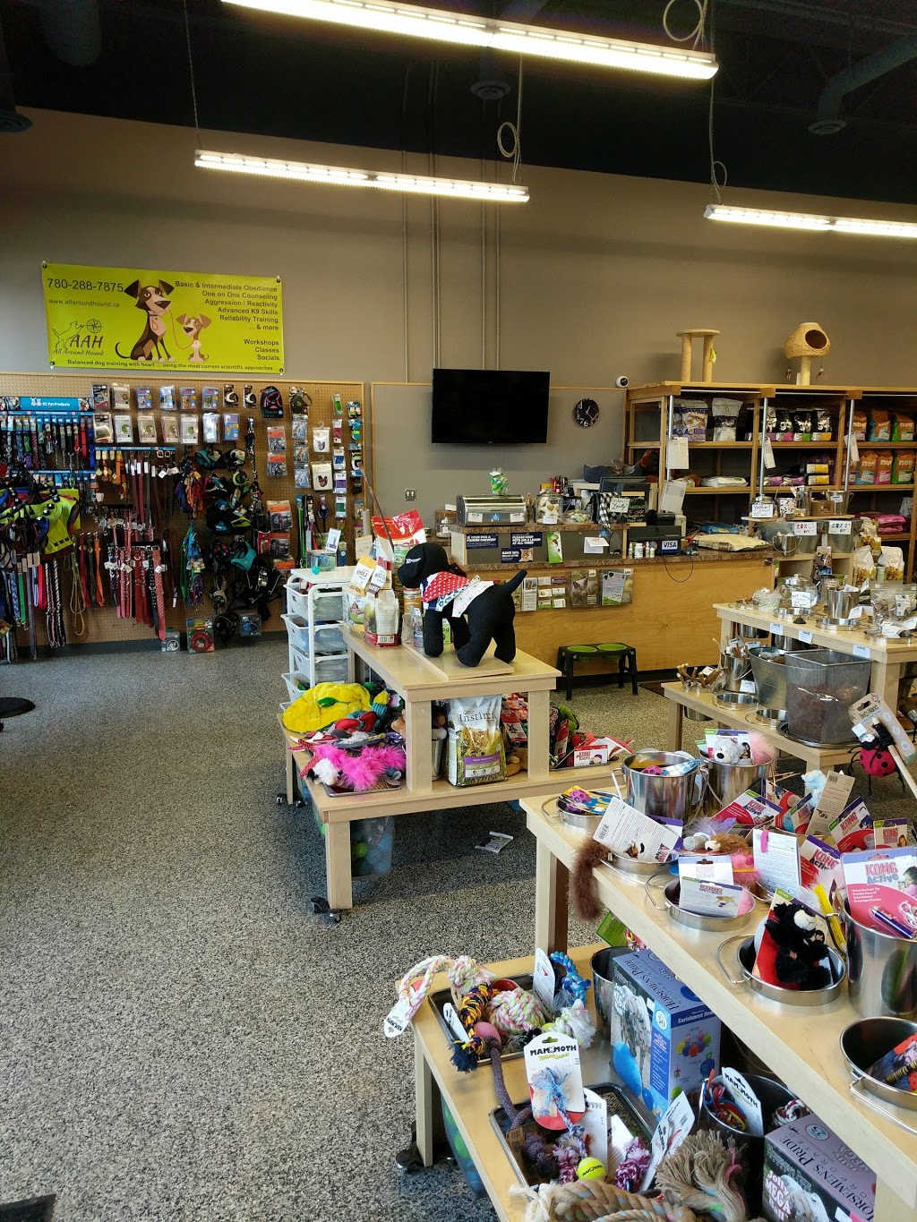 Pet Planet Wye Road Crossing | 301 Wye Rd #49, Sherwood Park, AB T8B 0A4, Canada | Phone: (587) 269-2006