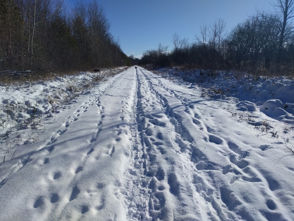 Springbank Trail | Almonte, Mississippi Mills, ON K0A 1A0, Canada