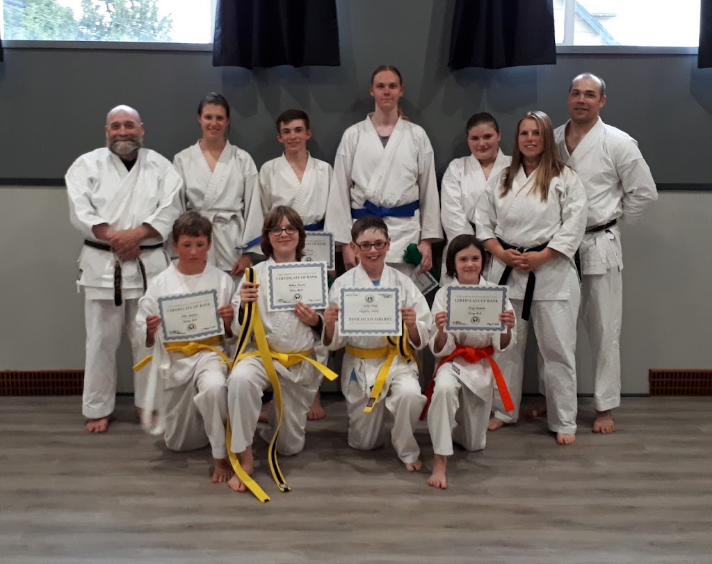 Port Alberni Wado Kai Karate | 4090 Hollywood St, Port Alberni, BC V9Y 4B3, Canada | Phone: (250) 735-9394