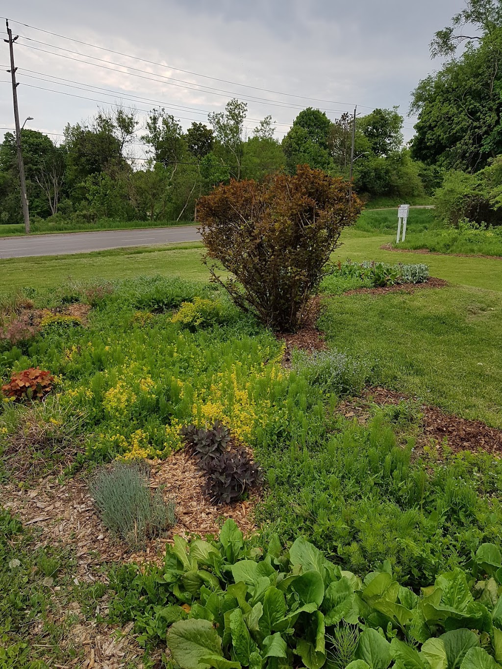 Monarch Waystation Butterfly Garden | Northglen, Oshawa, ON L1J 5A3, Canada