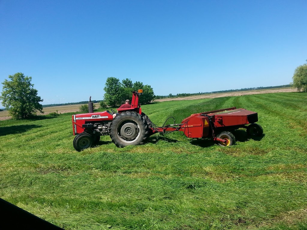 Ferme Dartagneau | 33 Rang Double, Napierville, QC J0J 1L0, Canada | Phone: (514) 265-6851