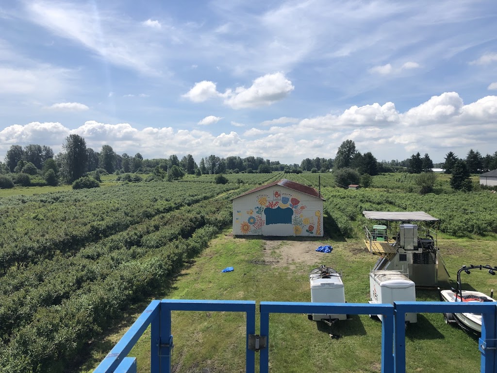 Taka Blueberry Farm Ltd | 470 Prairie Ave, Port Coquitlam, BC V3E 0A6, Canada | Phone: (778) 251-2135