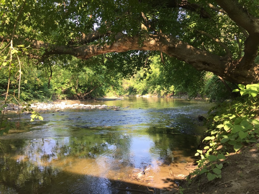 Thomas Hauser Memorial Trailhead | Crothers Woods Trail, Toronto, ON M4H 1P6, Canada