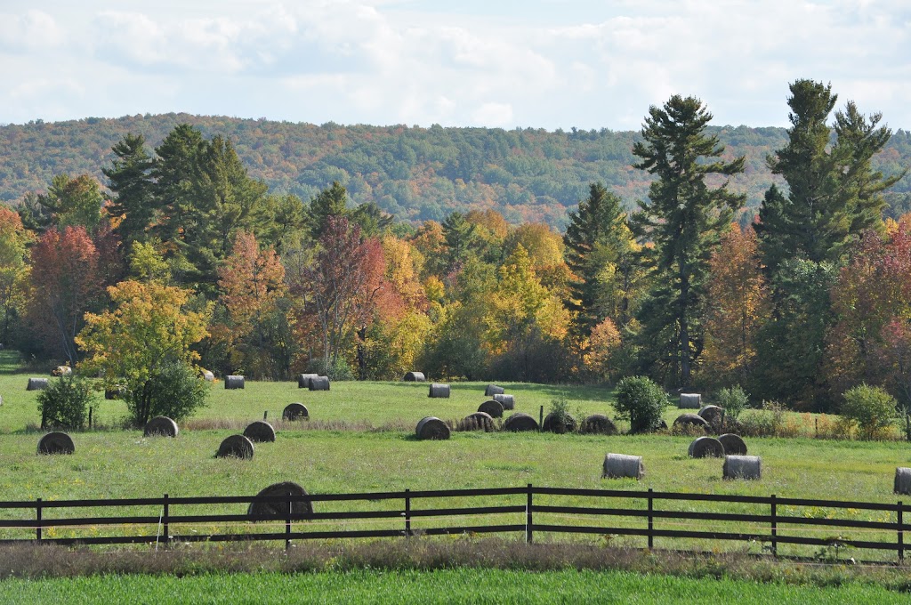 Landlab Inc. | 193 Chem. Ladyfield, Chelsea, QC J9B 0B3, Canada | Phone: (613) 907-0130