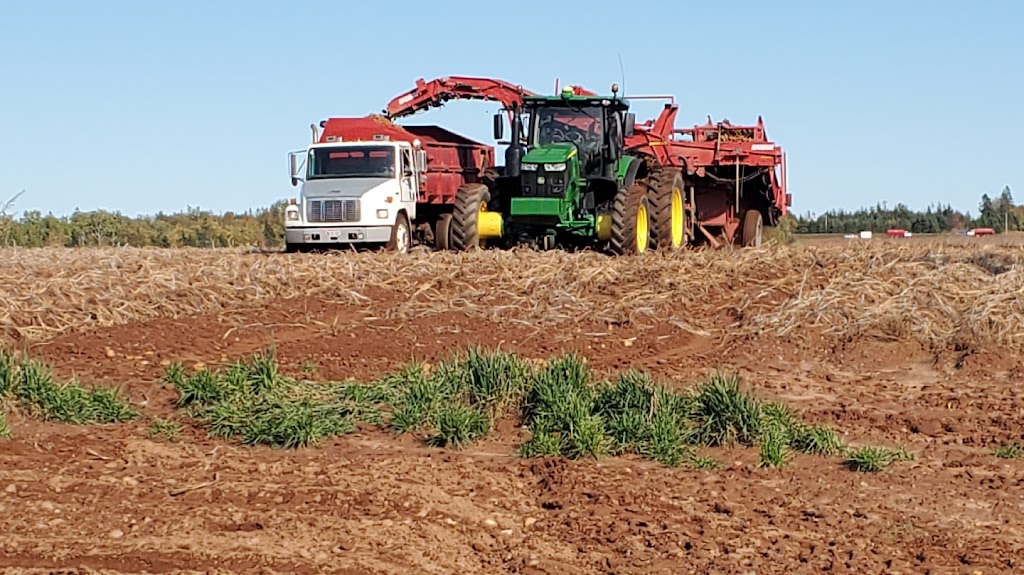 Green Diamond Equipment - Antigonish, NS | 15 Haley Rd, Antigonish, NS B2G 2E7, Canada | Phone: (902) 863-5991