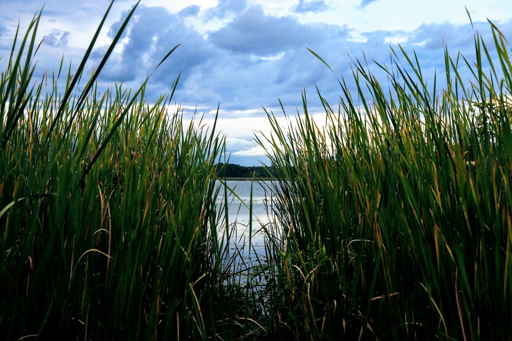 Loughborough Lake Watercraft Launch | Perth Rd, South Frontenac, ON K0H, Canada | Phone: (613) 546-4228