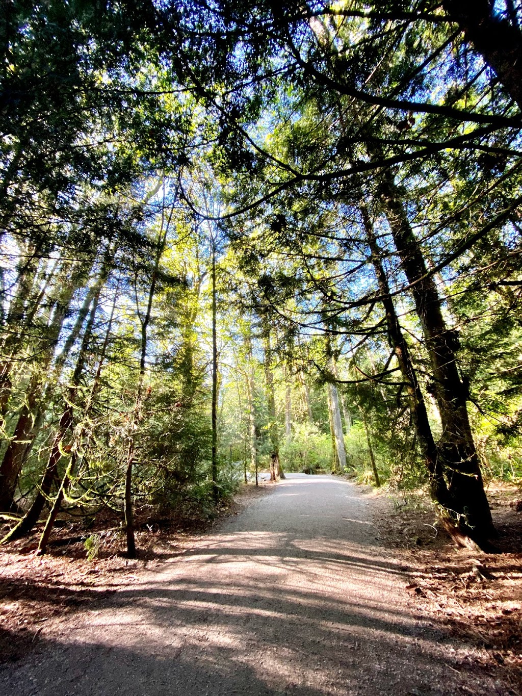 Imperial Trail Public Washroom | Imperial Trail (12), University Endowment Lands, BC V6N 2C4, Canada | Phone: (604) 224-5739