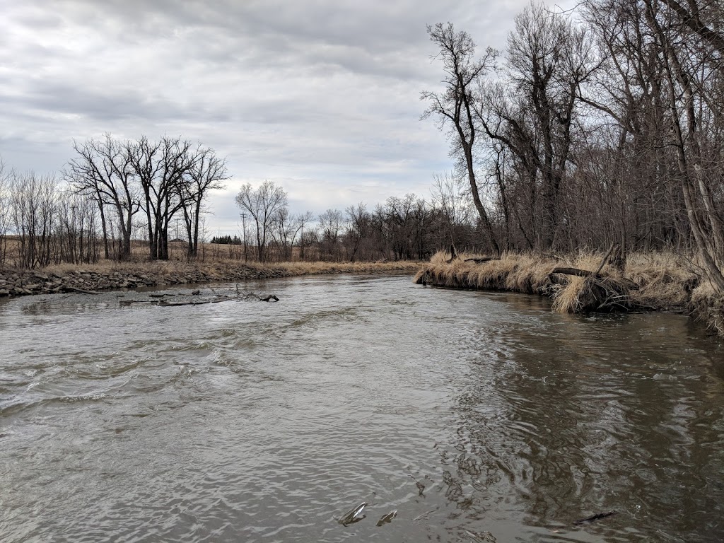 Horse Back River Trails | Avenue St Viateur, Otterburne, MB R0A 1G0, Canada | Phone: (204) 392-2458