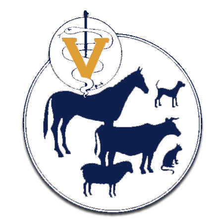 Morden Veterinary Clinic | 333 Mountain St S, Morden, MB R6M 1J5, Canada | Phone: (204) 822-4333