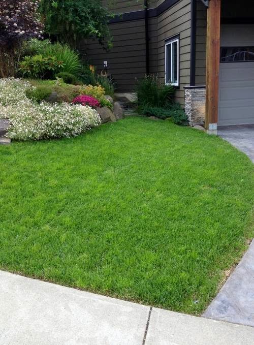 Lush Eco Lawns and Gardens | 3039 Quailview Pl, Duncan, BC V9L 6Y7, Canada | Phone: (250) 585-4248