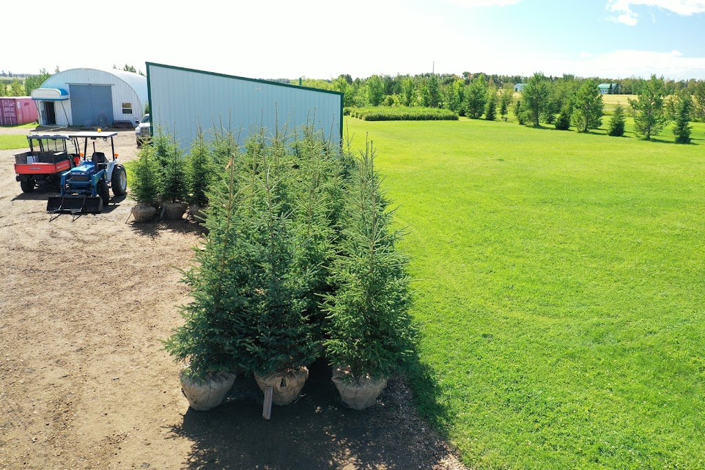 Fox Tree Farm | 470067, Range Rd 254, Wetaskiwin, AB T9A 1X2, Canada | Phone: (780) 289-5915