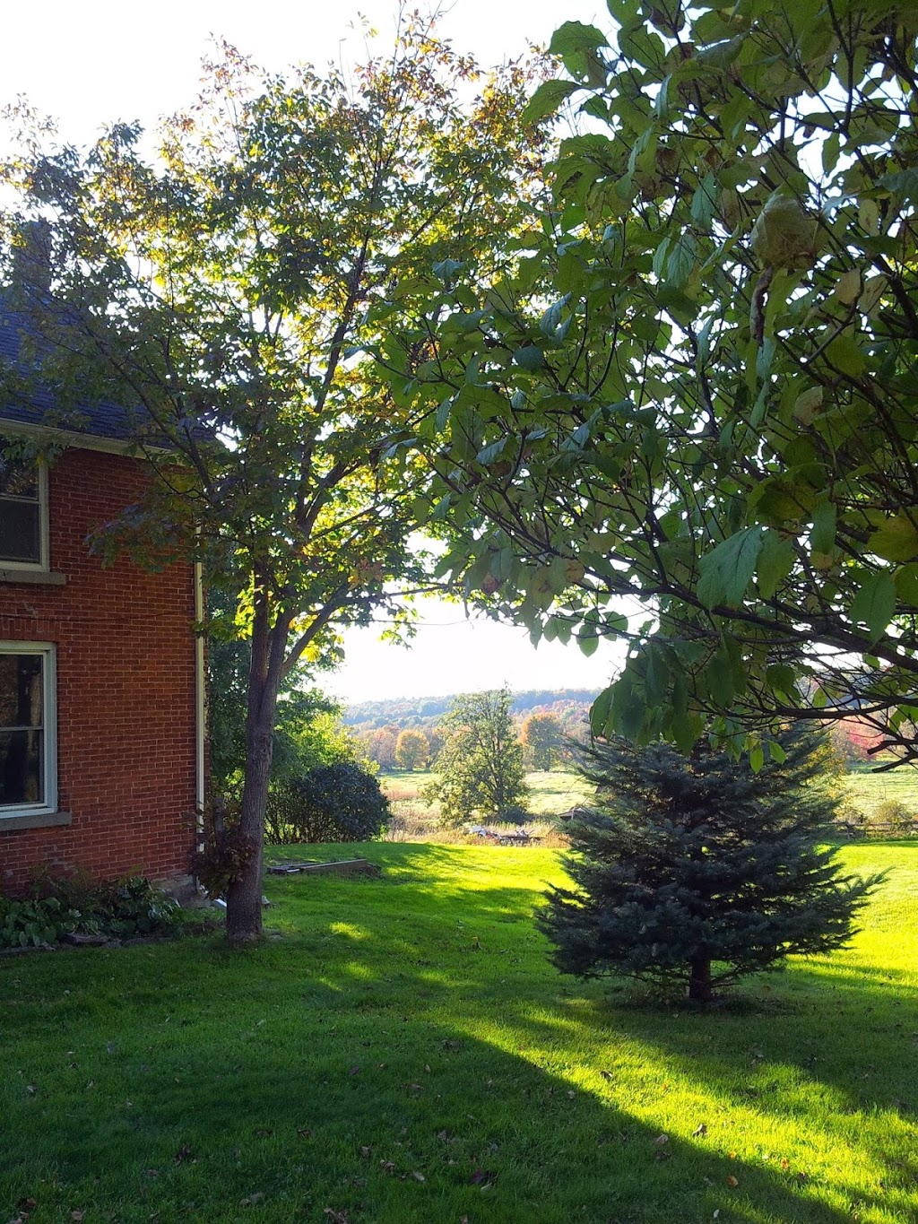 Lauras Bed & Breakfast | 2904 Cloggs Rd, Westbrook, ON K7P 2Z1, Canada | Phone: (800) 613-1507