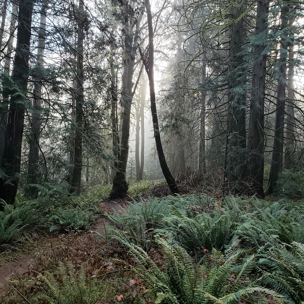 Morrell Nature Sanctuary | 787 Nanaimo Lakes Rd, Nanaimo, BC V9R 3C2, Canada | Phone: (250) 753-5811