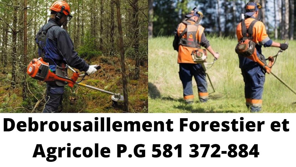 Débroussaillement Agricole et Forestier PG | 2385 131e Rue, Saint-Georges, QC G5Z 2E3, Canada | Phone: (581) 372-8844