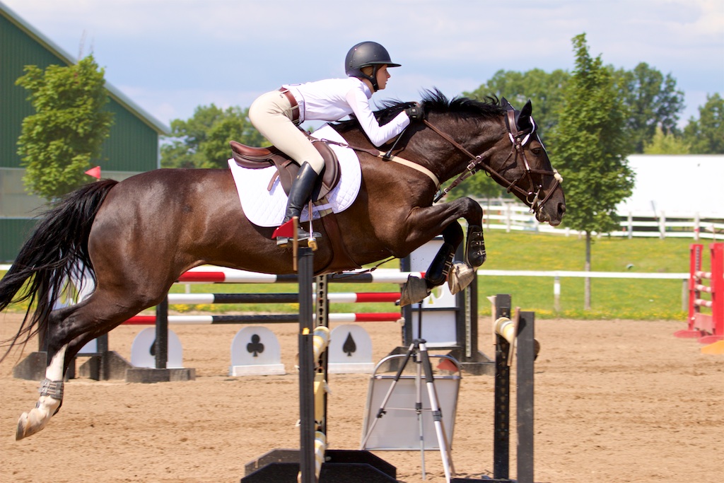 Vector Equestrian | 995 Concession 8 W, Puslinch, ON N0B 2J0, Canada | Phone: (905) 699-0420