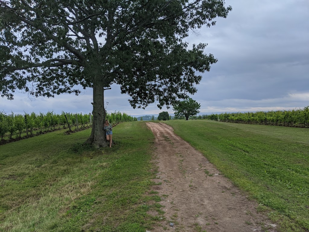 Blomidon Estate Winery | 10318 NS-221, Canning, NS B0P 1H0, Canada | Phone: (902) 582-7565