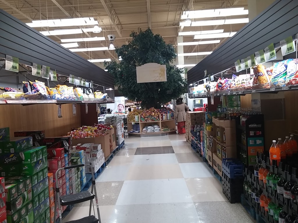 Oceans Fresh Food Market | 499 Main St S, Brampton, ON L6Y 1N7, Canada | Phone: (905) 866-5988