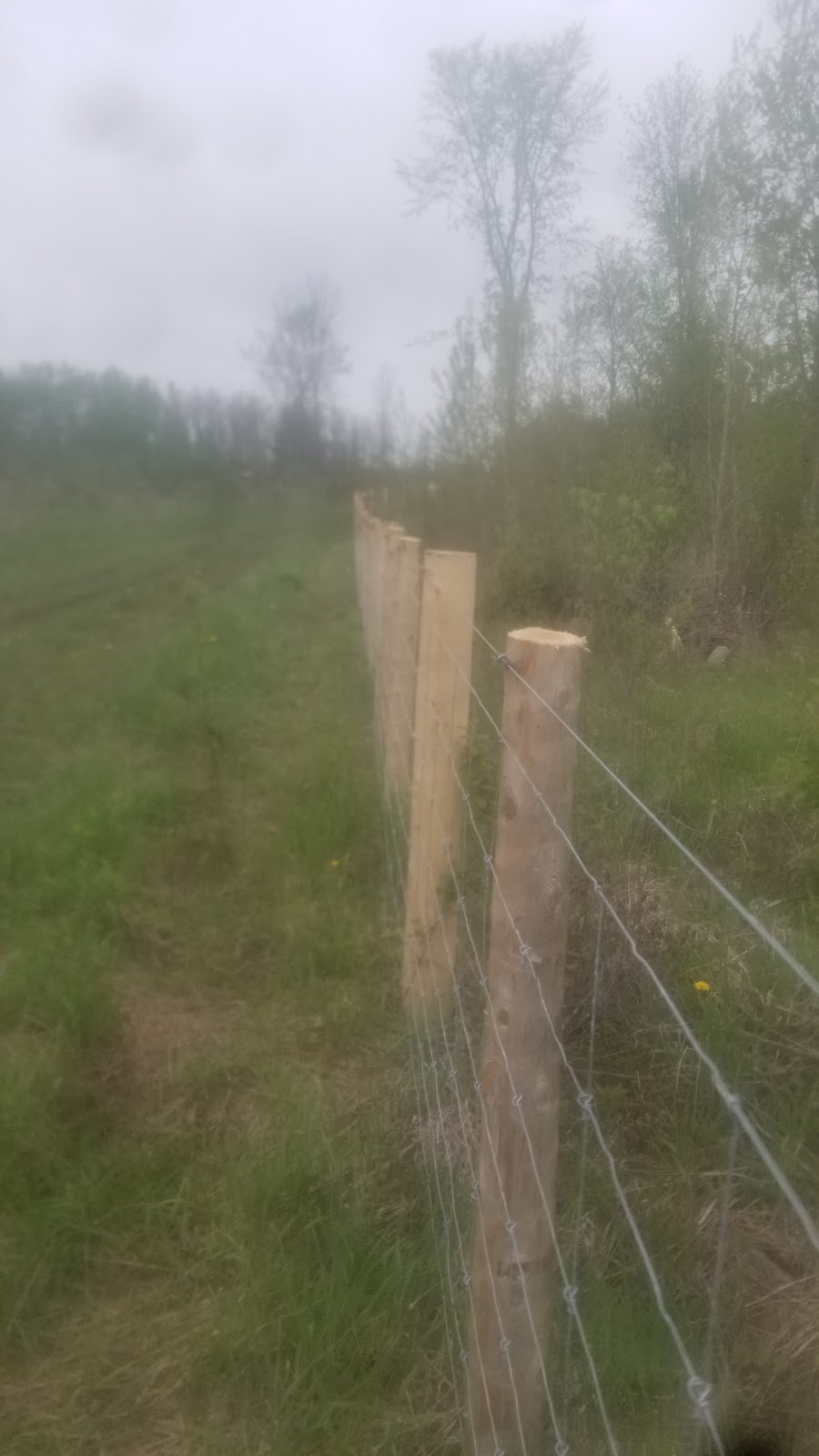 Cedar Hill Farm Fence | 521068 concession 12NDR, Elmwood, ON N0G 1S0, Canada | Phone: (519) 949-9023