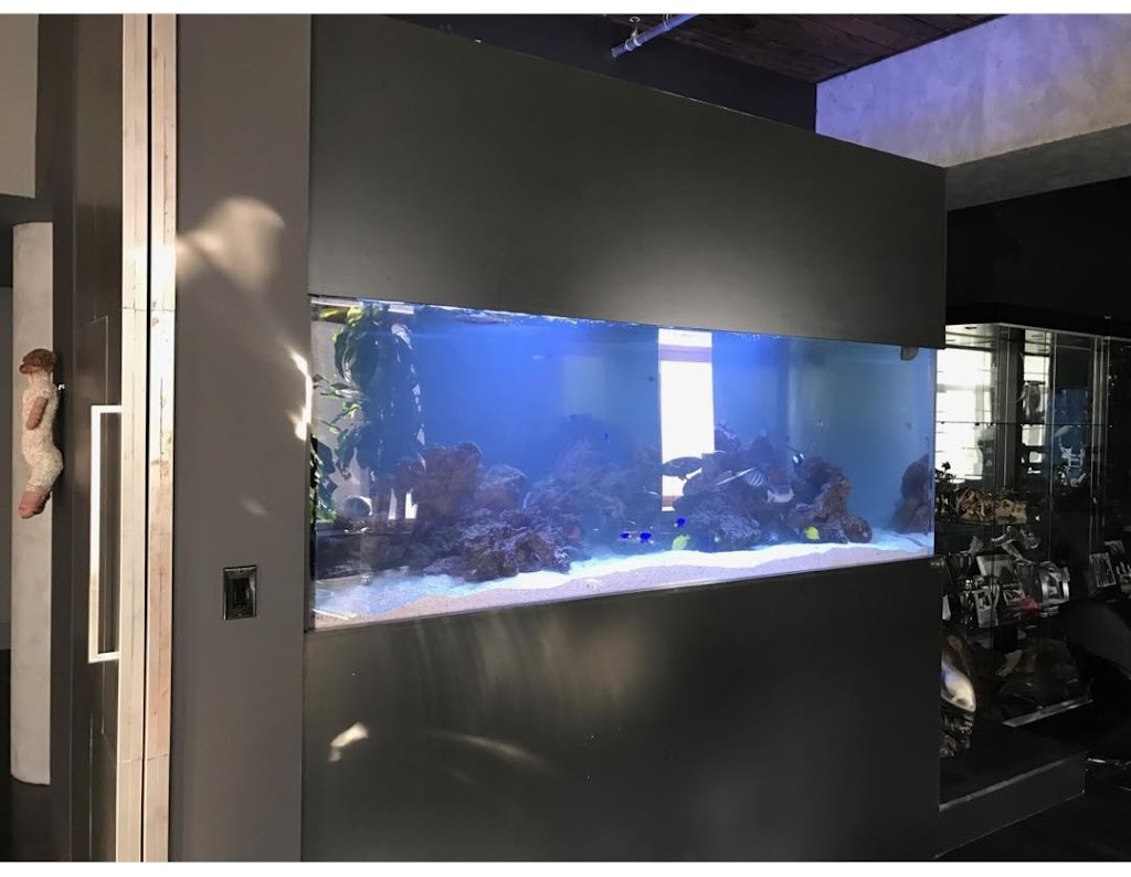 Coral Reefs & Aquariums | 20 Davenrich Ct, Brampton, ON L6Z 1N6, Canada | Phone: (905) 794-2224