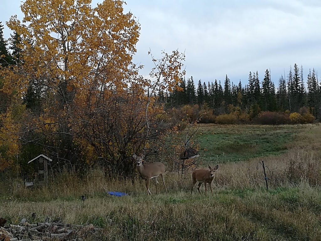 Wildlife Rehabilitation Centre | Parkland County, AB T7X 3L9, Canada