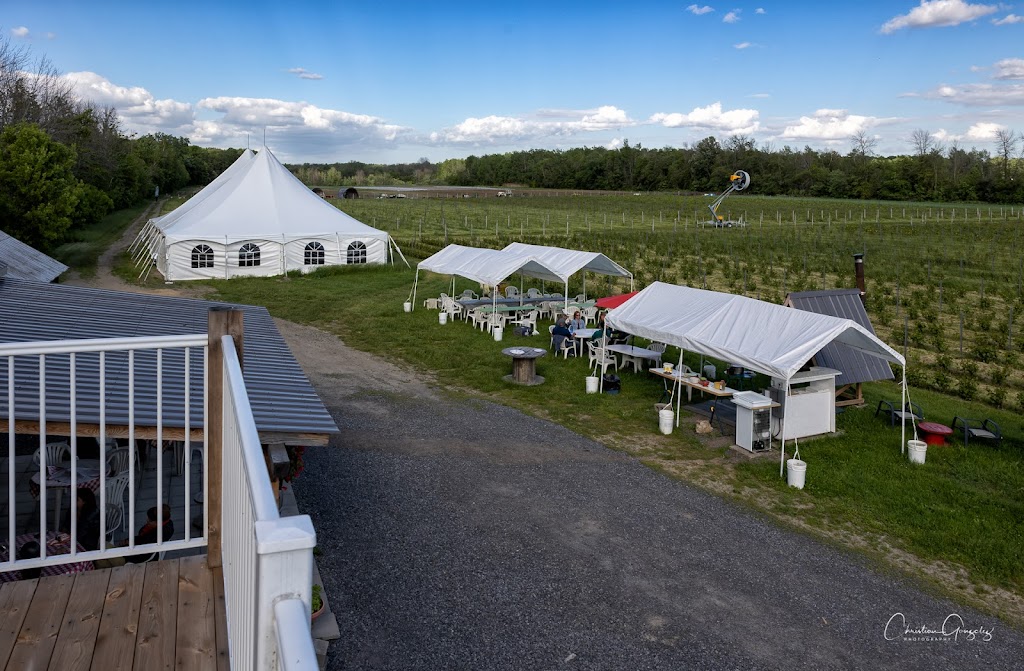 Vignoble Dovila | 1468 Chem. Saint-Féréol, Les Cèdres, QC J7T 1N8, Canada | Phone: (438) 397-9459