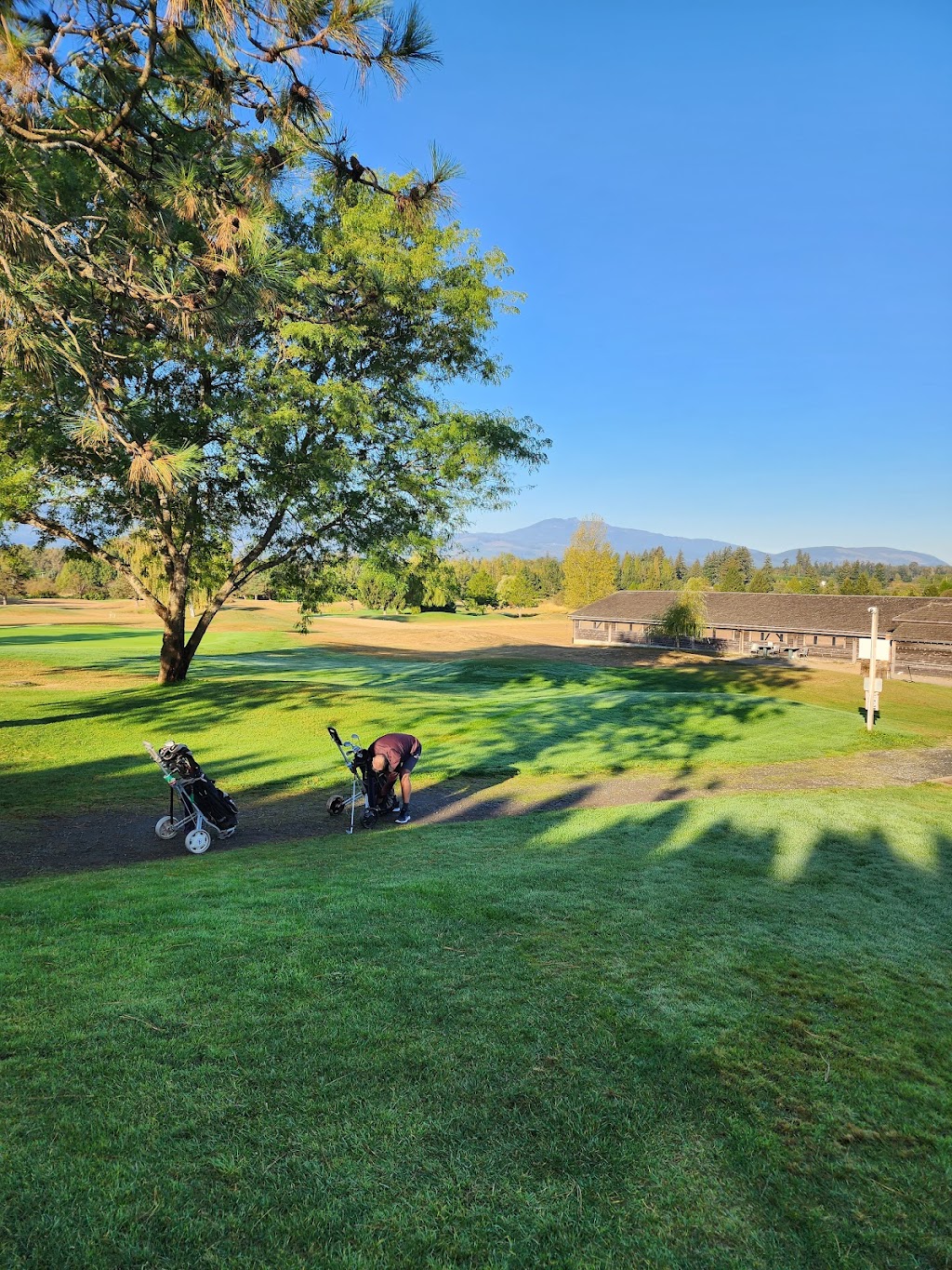 Mulligans Golf Course | 4985 Cotton Rd, Courtenay, BC V9N 5Y1, Canada | Phone: (250) 338-2440