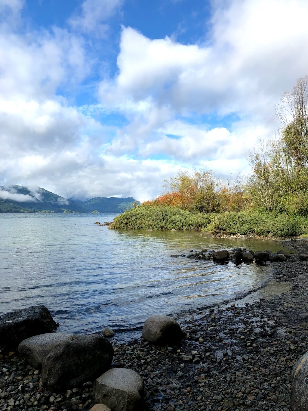 Pine Point Recreation Site | 11391-11457 N Shore Rd, Youbou, BC V0R 3E1, Canada | Phone: (250) 701-1976