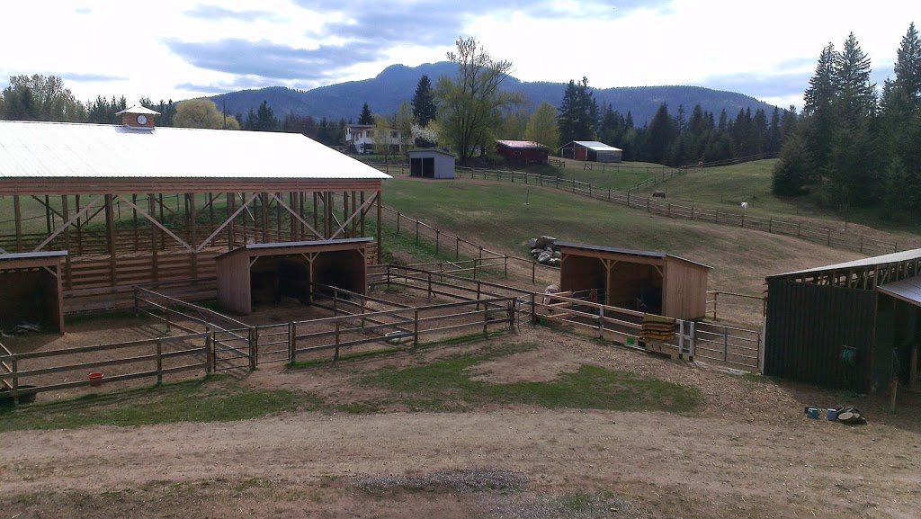 Woodcreek Equestrian | 561 60 St SE, Salmon Arm, BC V1E 1W4, Canada | Phone: (250) 253-1416