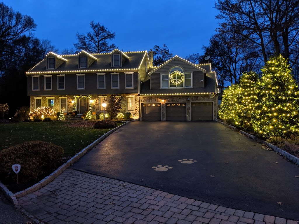 Mr Light Bright - Christmas Light Installations | 2131 Hartley Ave unit #101, Coquitlam, BC V3K 6V9, Canada | Phone: (604) 260-0258