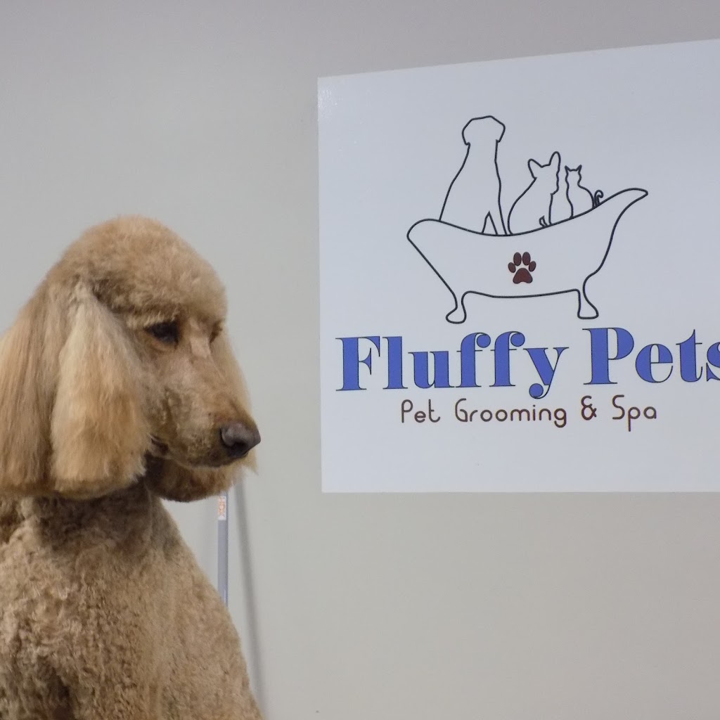 Fluffy Pets | 3110 Kingston Rd #3, Scarborough, ON M1M 1P2, Canada | Phone: (647) 289-5096