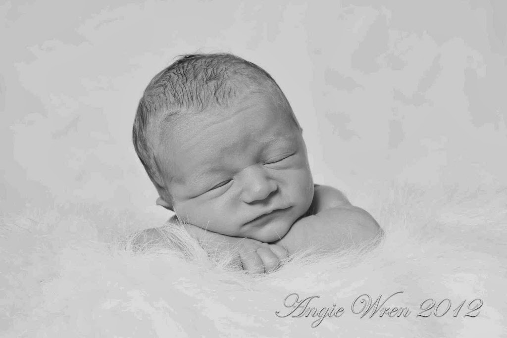 Angela Wren Photography | 145 Sawmill Rd, Pembroke, ON K8A 6W4, Canada | Phone: (613) 401-3868