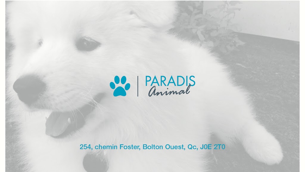 Ô Paradis Animal | 254 Chem. Foster, Bolton-Ouest, QC J0E 2T0, Canada | Phone: (450) 578-6248