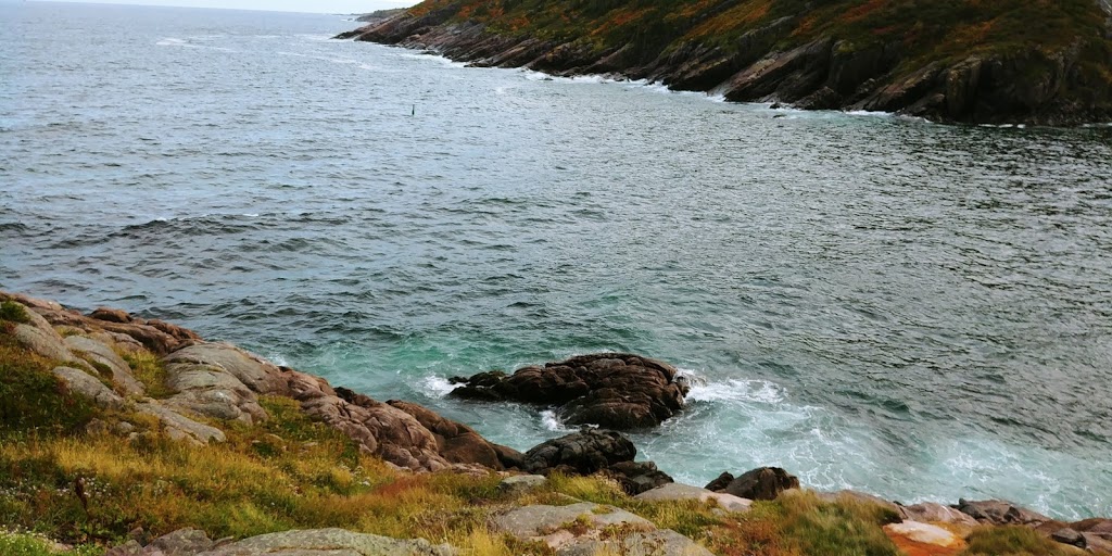 Harbor Lookout Point | Petty Harbour-Maddox Cove, NL A1S 1L1, Canada