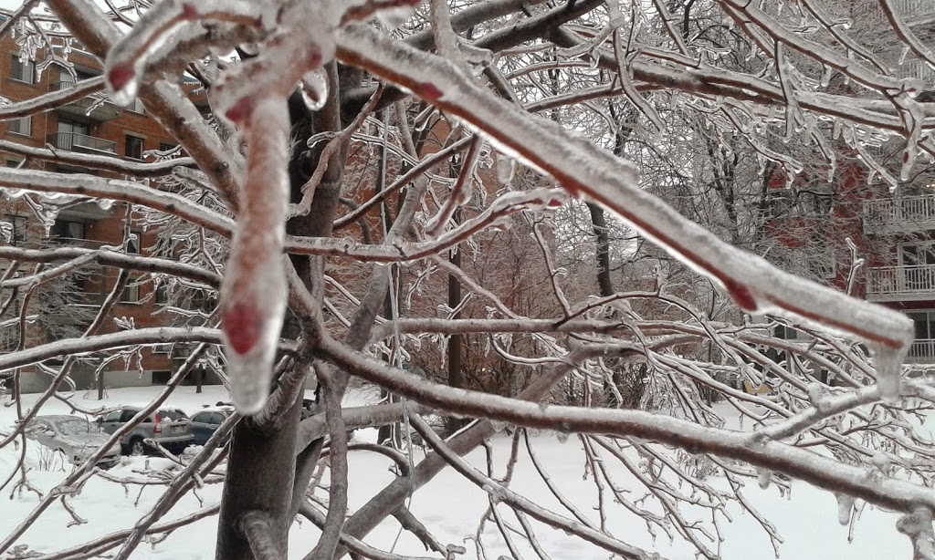 Parc Jean-Pierre-Côté | Rue Saint-Charles Ouest, Longueuil, QC J4H 2K5, Canada