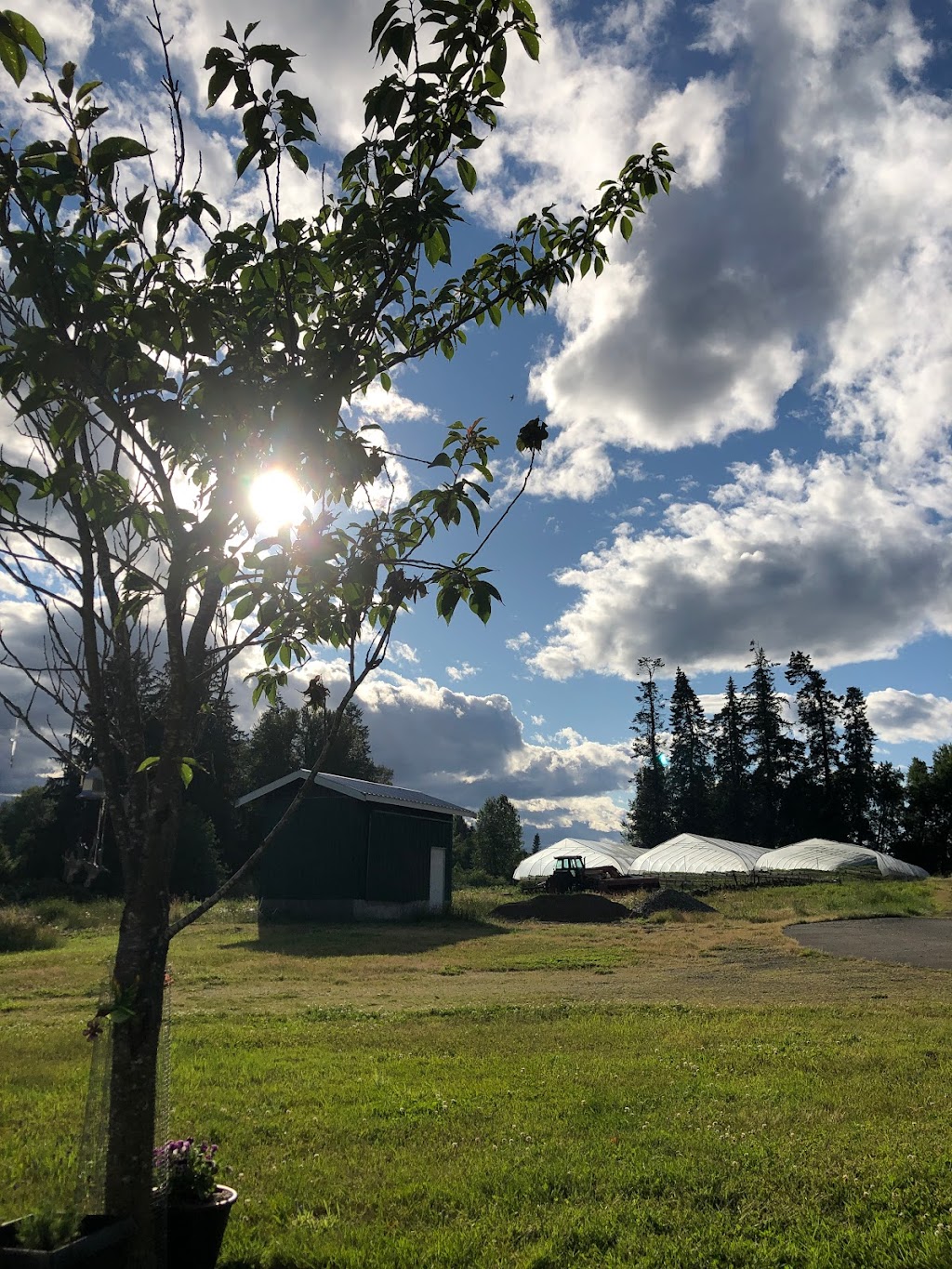 Dove Creek Produce Farm | 3505 Dove Creek Rd, Courtenay, BC V9J 1P3, Canada | Phone: (250) 306-4694