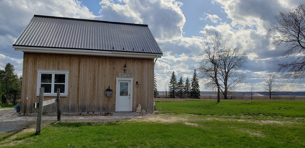 YOGA CAMELIA | 1702 Chemin du Ruisseau N, Saint-Mathieu-de-Beloeil, QC J3G 2C9, Canada | Phone: (514) 826-4859