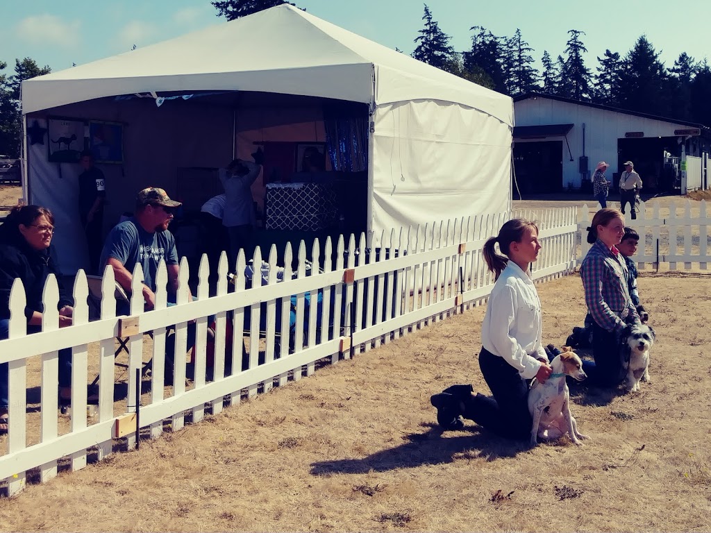 Dog/Cat 4H Exhibit Tent | Friday Harbor, WA 98250, USA