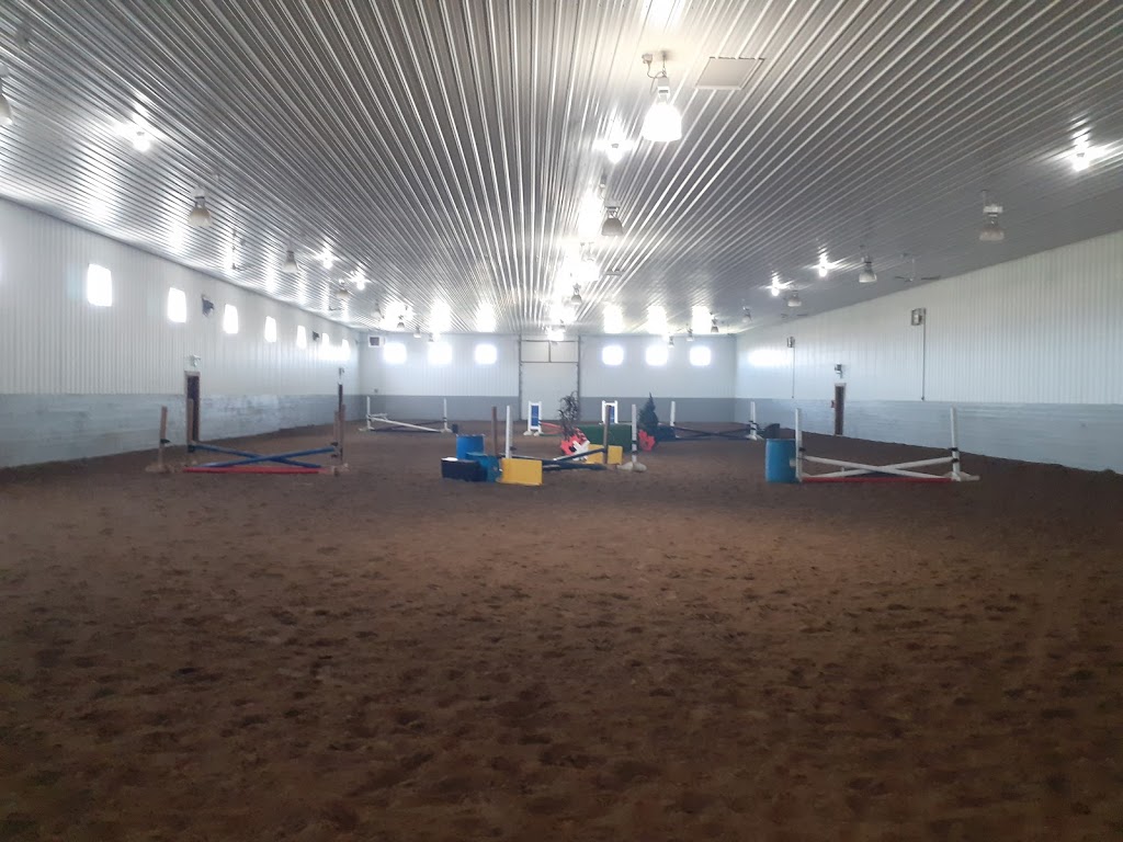 Powers Equestrian | Township Rd 202, Black Diamond, AB T1S 1A1, Canada | Phone: (403) 585-2044