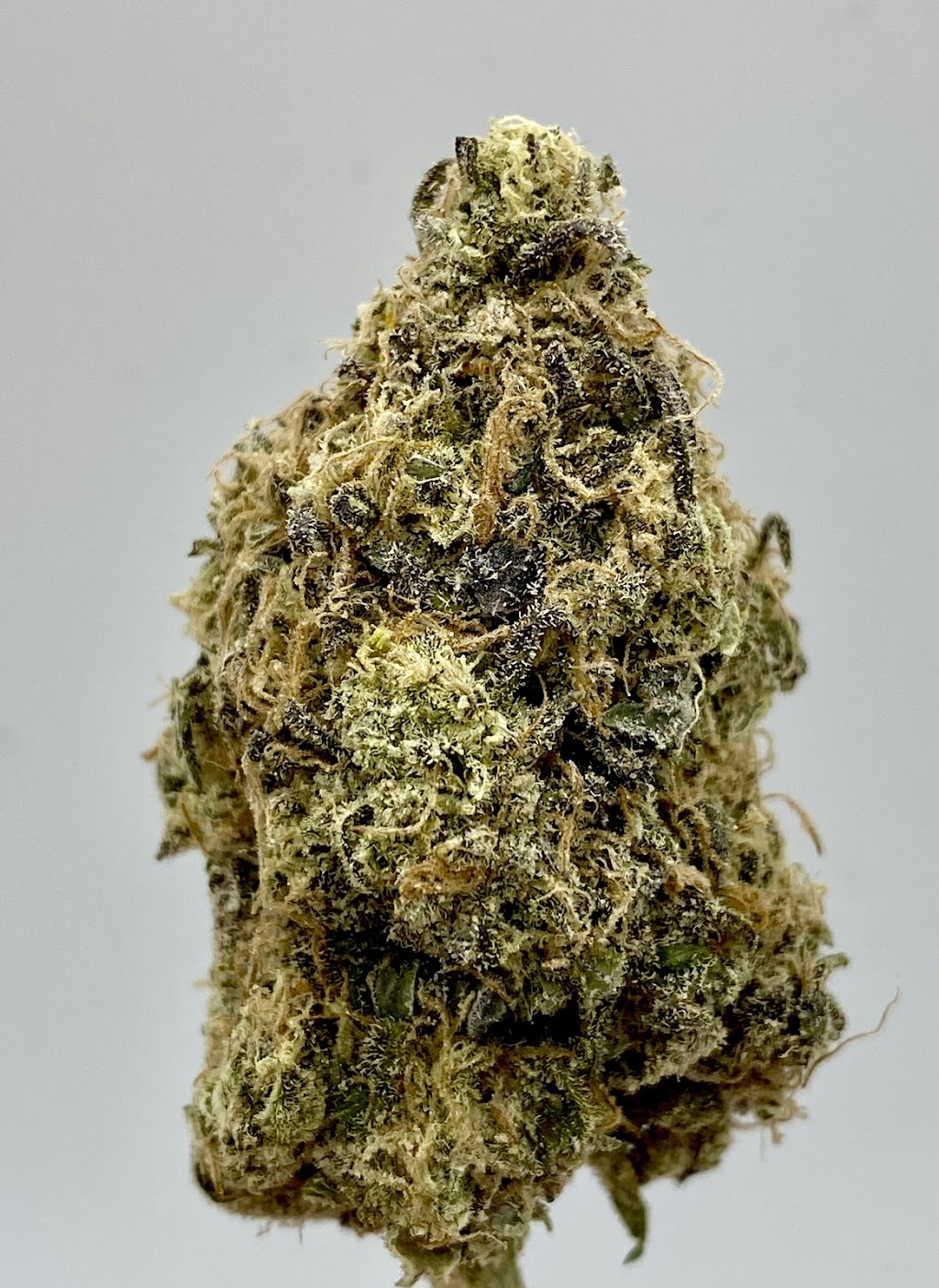 Weed Delivery Markham I Golden Budz Dispansery | 138 Robinson St, Markham, ON L3P 5H5, Canada | Phone: (647) 370-2365